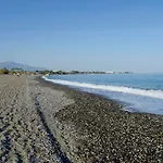 Trh Paraiso