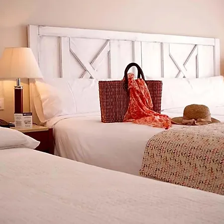 ホテル Trh Paraiso 4*